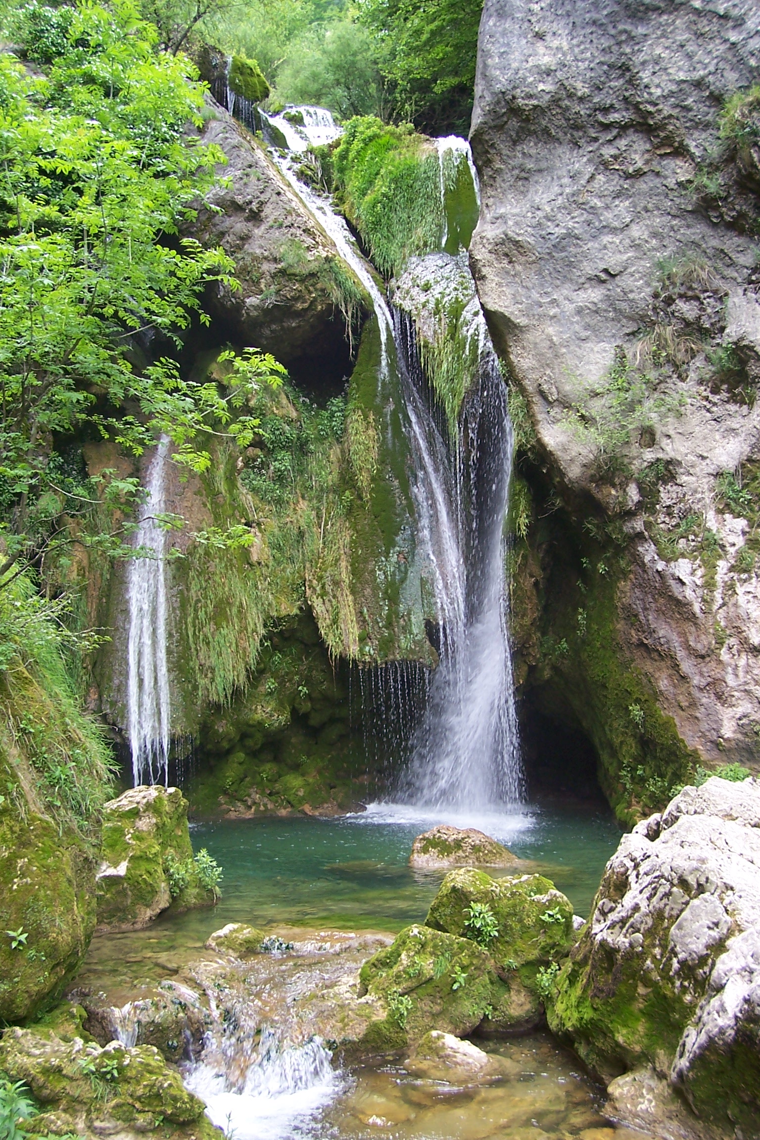 Medio Ambiente