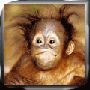 Avatar de Trucao
