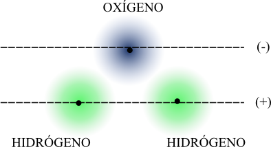 Dipolo formado por la molécula de agua