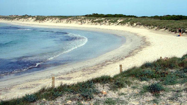 Haz clic en la imagen para ampliar

Nombre:	playa_muro.jpg
Vitas:	195
Tamaño:	191,6 KB
ID:	345617