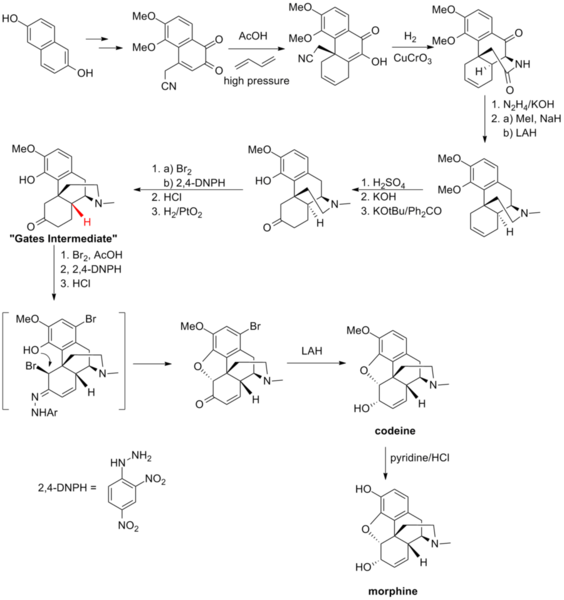 Haz clic en la imagen para ampliar

Nombre:	900px-Gates_synthesis.png
Vitas:	333
Tamaño:	188,4 KB
ID:	348978