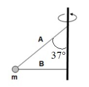 Haz clic en la imagen para ampliar

Nombre:	circular_conico_r2_fisica.jpg
Vitas:	112
Tamaño:	3,5 KB
ID:	356581