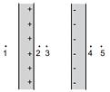 Imagen 11.jpg