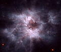Enana blanca NGC 2440

Como si fuera una mariposa, esta estrella enana blanca comienza su vida envolviéndose en un capullo. Sin embargo, en esta analogía, la estrella sería más bien la oruga y el capullo de gas expulsado la etapa verdaderamente llamativa y hermosa.

La nebulosa planetaria NGC 2440 contiene una de las enanas blancas conocidas más calientes. La enana blanca se ve como un punto brillante cerca del centro de la fotografía. Eventualmente, nuestro Sol se convertirá en una "mariposa enana